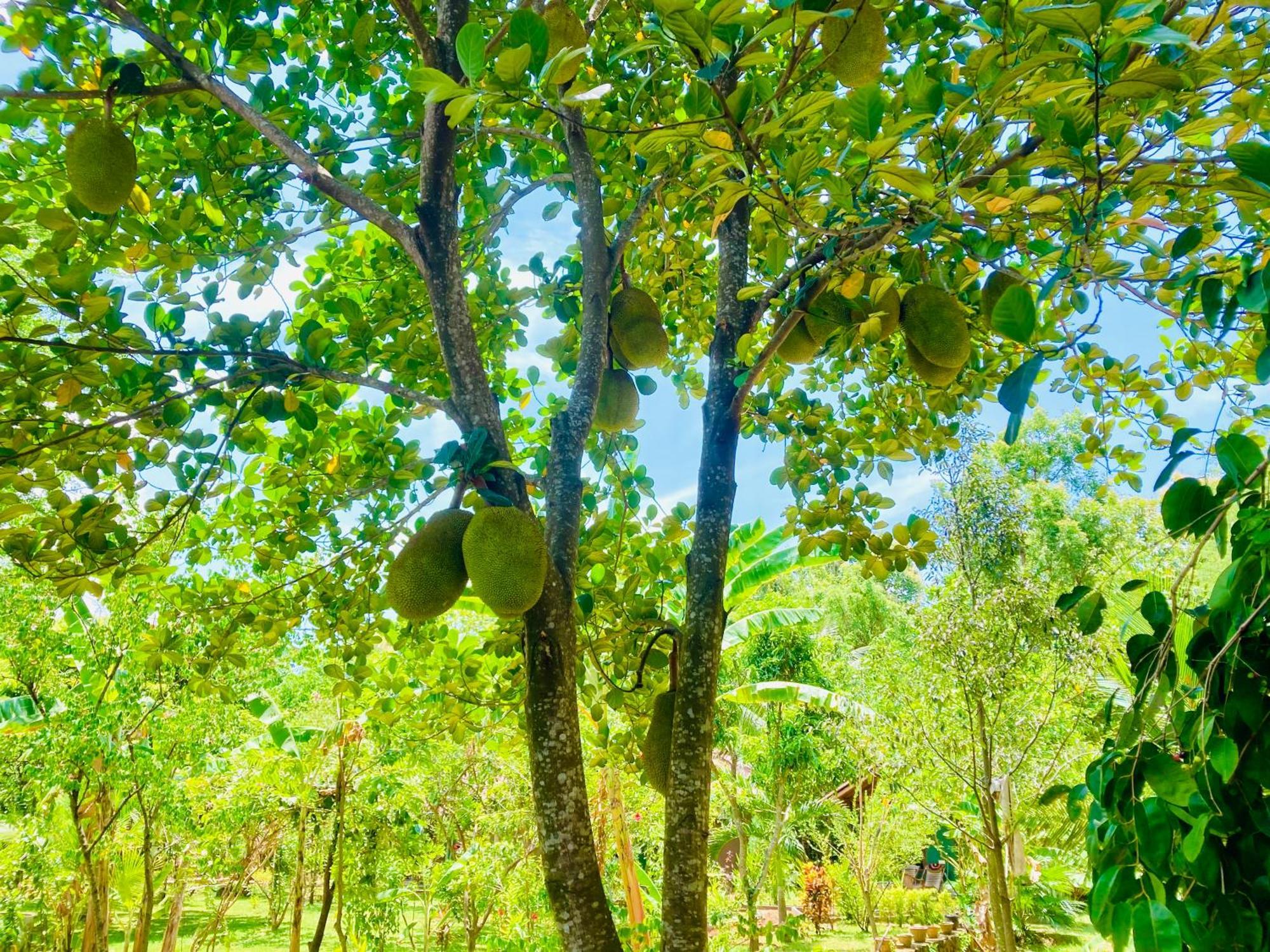 Suncity Privacy Cottages Udawalawe Esterno foto