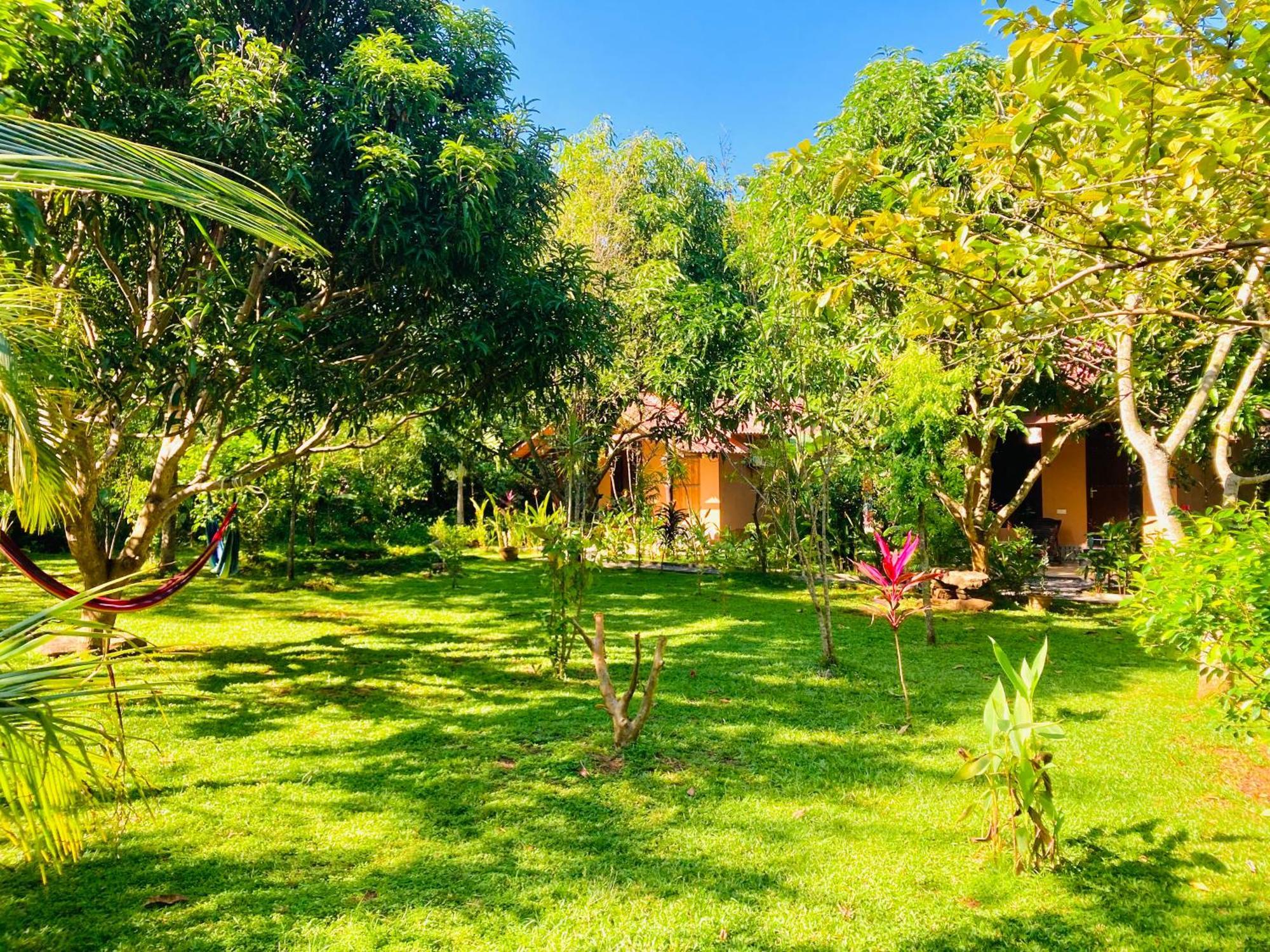 Suncity Privacy Cottages Udawalawe Esterno foto